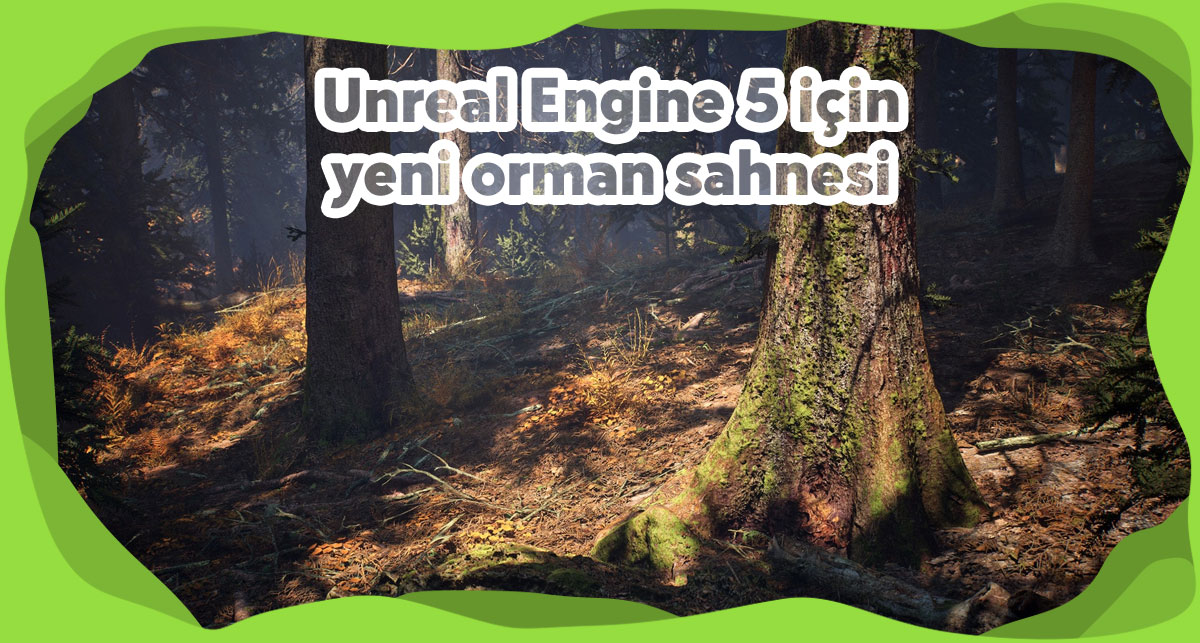 Unreal Engine 5 Orman Sahnesi